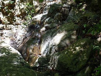 Vue de la finca de Hojancha, Costa Rica