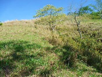 Vue de la finca de Hojancha, Costa Rica