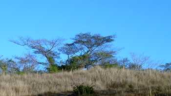 Vue de la finca de 17 has de Nicoya, Costa Rica