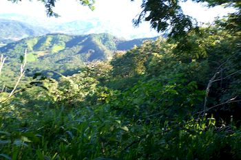 Vue de la finca de Jicaral, Costa Rica