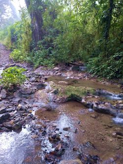 Vue de la finca de Jicaral, Costa Rica