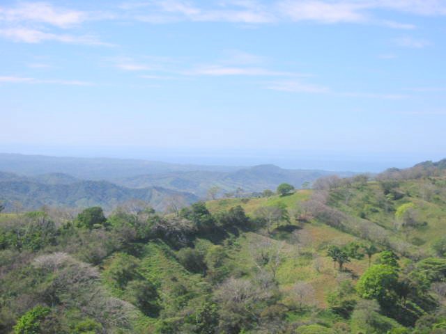 vue de la finca de jicaral costa rica