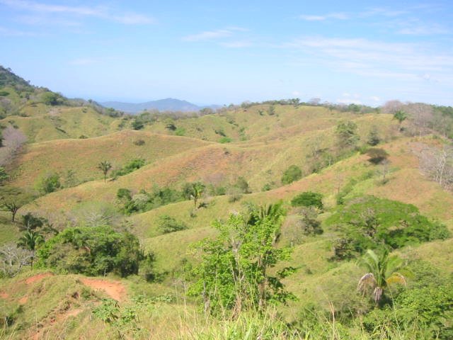 vue de la finca de jicaral costa rica
