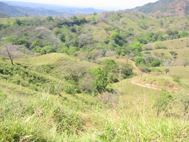 vue de la finca de jicaral costa rica