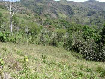 Vue de la finca de Puriscal, Costa Rica