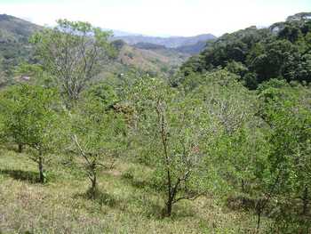Vue de la finca de Puriscal, Costa Rica