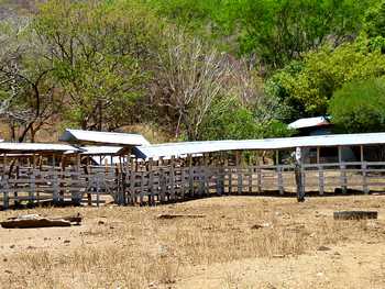 Vue de la finca de Nicoya, Costa Rica
