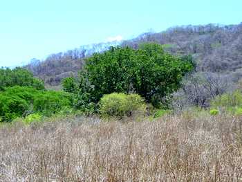 Vue de la finca de Nicoya, Costa Rica
