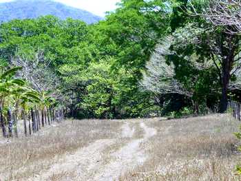Vue de la finca de Nicoya, Costa Rica