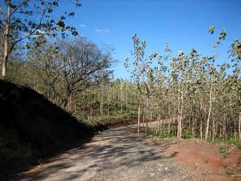 Vue de la finca de Santa Rosa, Costa Rica