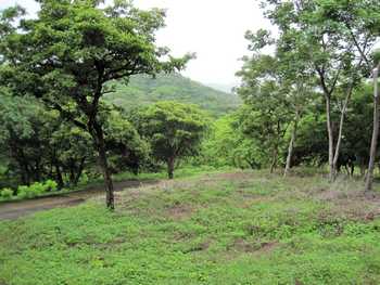 Vue de la finca de Santa Rosa, Costa Rica