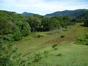 Vue de la finca de 242 has de Nicoya, Costa Rica