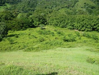 Vue de la finca de 242 has de Nicoya, Costa Rica