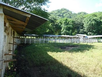 Vue de la finca de 242 has de Nicoya, Costa Rica