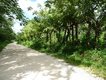 Vue de la finca de 242 has de Nicoya, Costa Rica