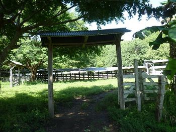 Vue de la finca de 242 has de Nicoya, Costa Rica