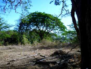 Vue de la finca de Nicoya, Costa Rica