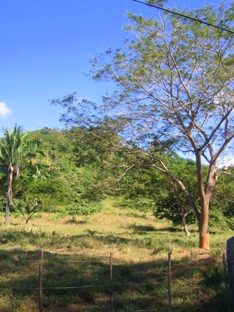 vue de la finca de playa san miguel costa rica