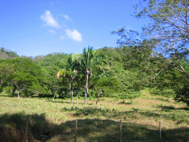 vue de la finca de playa san miguel costa rica