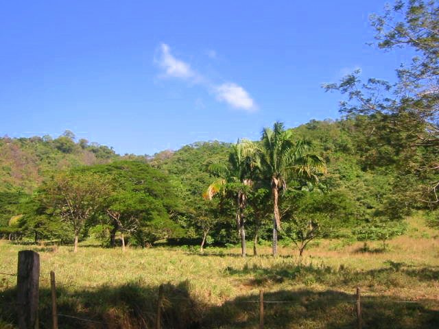 vue de la finca de playa san miguel costa rica