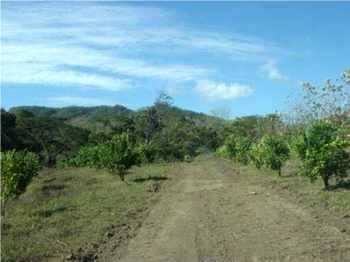 Vue de la finca de Nandayure, Costa Rica