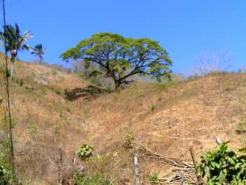 Vue de la finca du Golfe de Nicoya, Costa Rica.