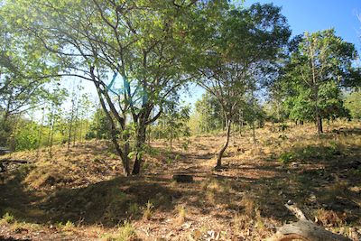 Vue de la finca d'Hojancha, Costa Rica