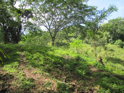 Vue de la finca de Montana Grande, Costa Rica