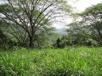 Vue de la finca de Montana Grande, Costa Rica