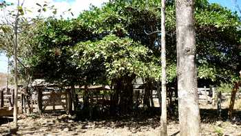 Vue de la finca de Nandayure, Costa Rica