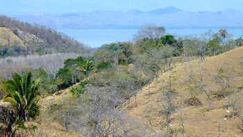 Vue de la finca de Nandayure, Costa Rica