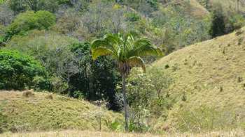 Vue de la finca de Nandayure, Costa Rica