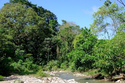 Vue de la finca de 45 has, Palmar, Costa Rica