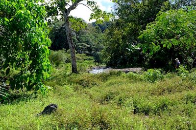 Vue de la finca de 45 has, Palmar, Costa Rica