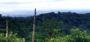 Vue de la finca de Upala, Costa Rica