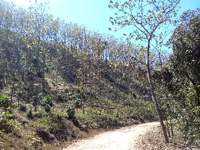 Vue de la finca de 5 has de Samara, Costa Rica