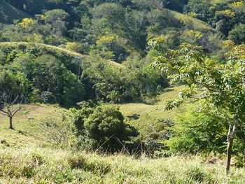 Vue de la finca de Hojancha, Costa Rica
