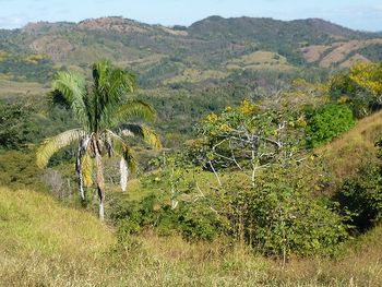 Vue de la finca de Hojancha, Costa Rica