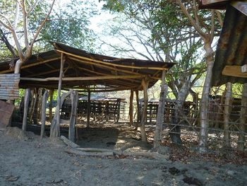Vue de la finca de Hojancha, Costa Rica
