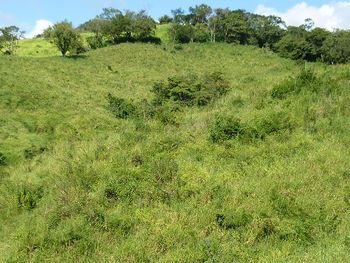 Vue de la finca de Nicoya, Costa Rica