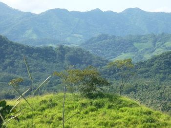 Vue de la finca de Nicoya, Costa Rica