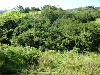 Vue de la finca de Nicoya, Costa Rica