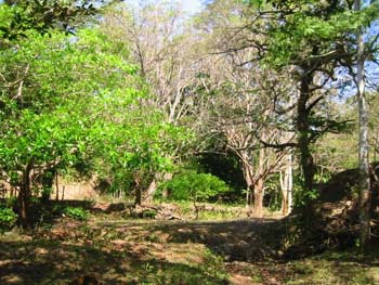 Vue de la finca de 68 has de Paquera, Costa Rica