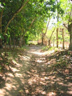 Vue de la finca de 68 has de Paquera, Costa Rica