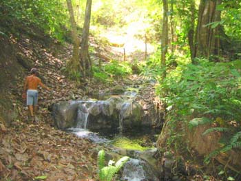 Vue de la finca de 68 has de Paquera, Costa Rica