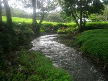 Vue de la finca de Potrero, Costa Rica