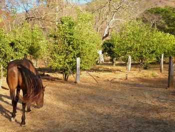 Vue de la finca de Potrero, Costa Rica