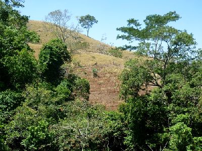 Vue de la finca de Hojancha, Costa Rica