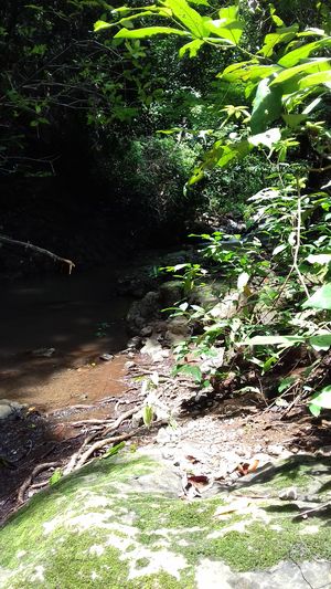 Vue de la finca de 7has de Santa Marta, Costa Rica