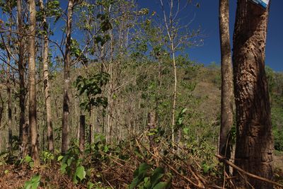 Vue de la finca de 7has de Santa Marta, Costa Rica